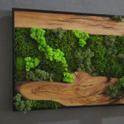 Moss And Olive Wood Wall Art | Rustic Greenery Decor For Home