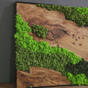 Handcrafted Moss & Olive Wood Wall Art | Rustic Greenery Decor