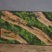 Moss & Wood Wall Art | Unique Custom Made Olive Wood And Moss Wall Decor