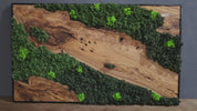 Olive Wood & Preserved Moss Wall Art: Rustic Greenery Decor