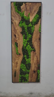 Olive Wood & Preserved Moss Wall Art | Rustic Greenery Decor