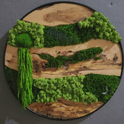 Olive Wood & Preserved Moss Wall Art