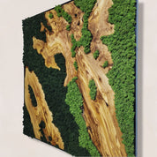 Verdant Dreams MOSSmood