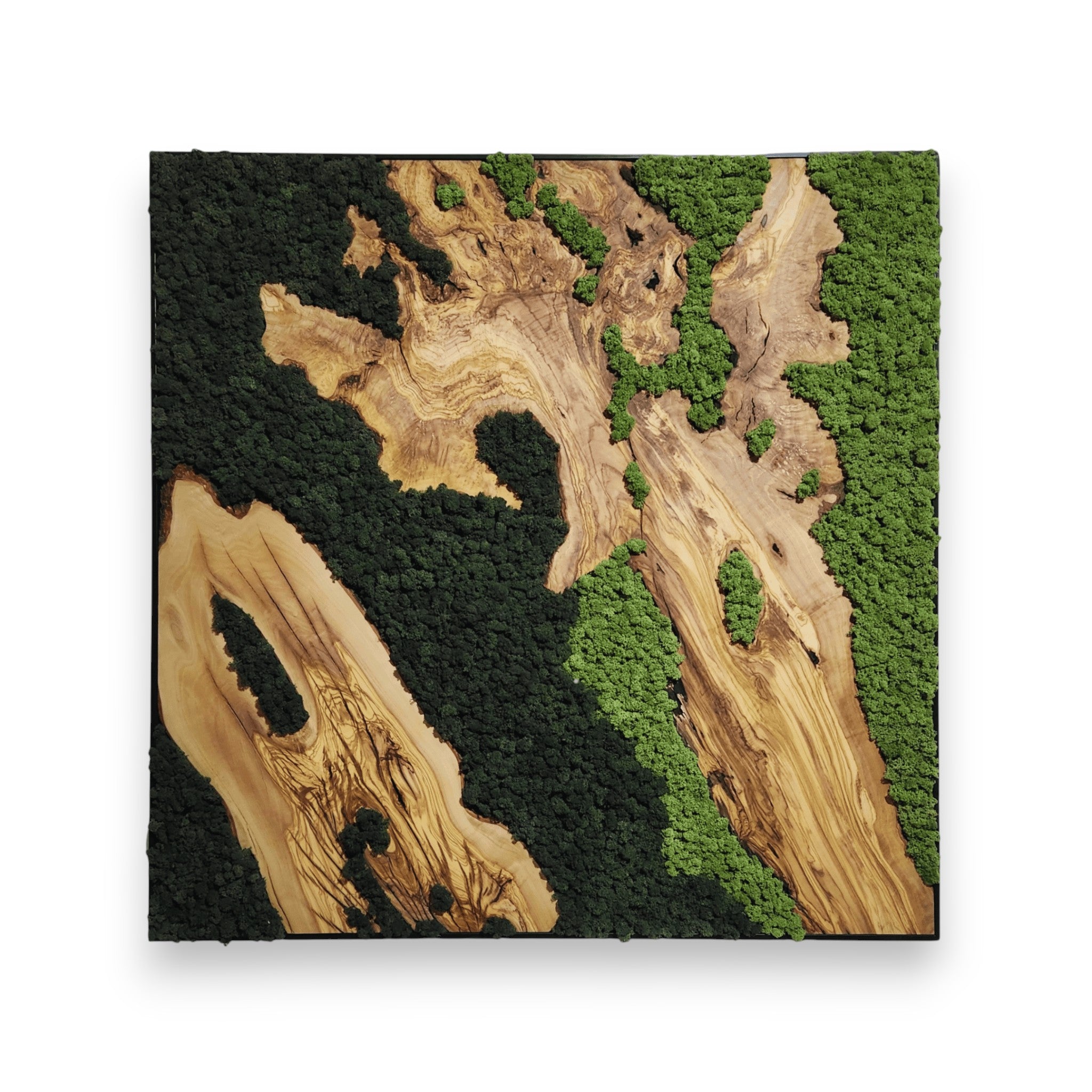 verdant-dreams-749848.jpg
