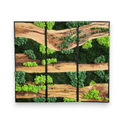 Green Horizon | Olive Wood and Pereserved Moss Wall Decor