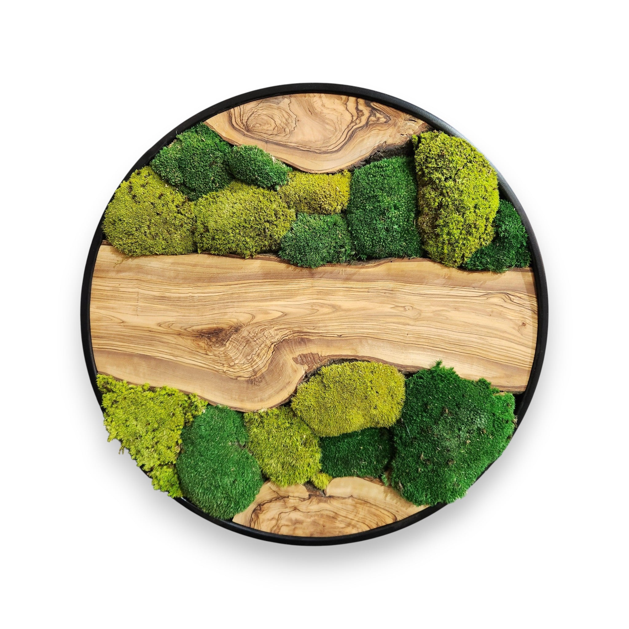 Green Hill | Preserved Moss and Olive Wood Art Piece