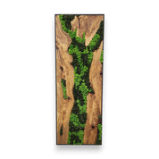Forest Arc | Olive Wood and Pereserved Moss Wall Decor