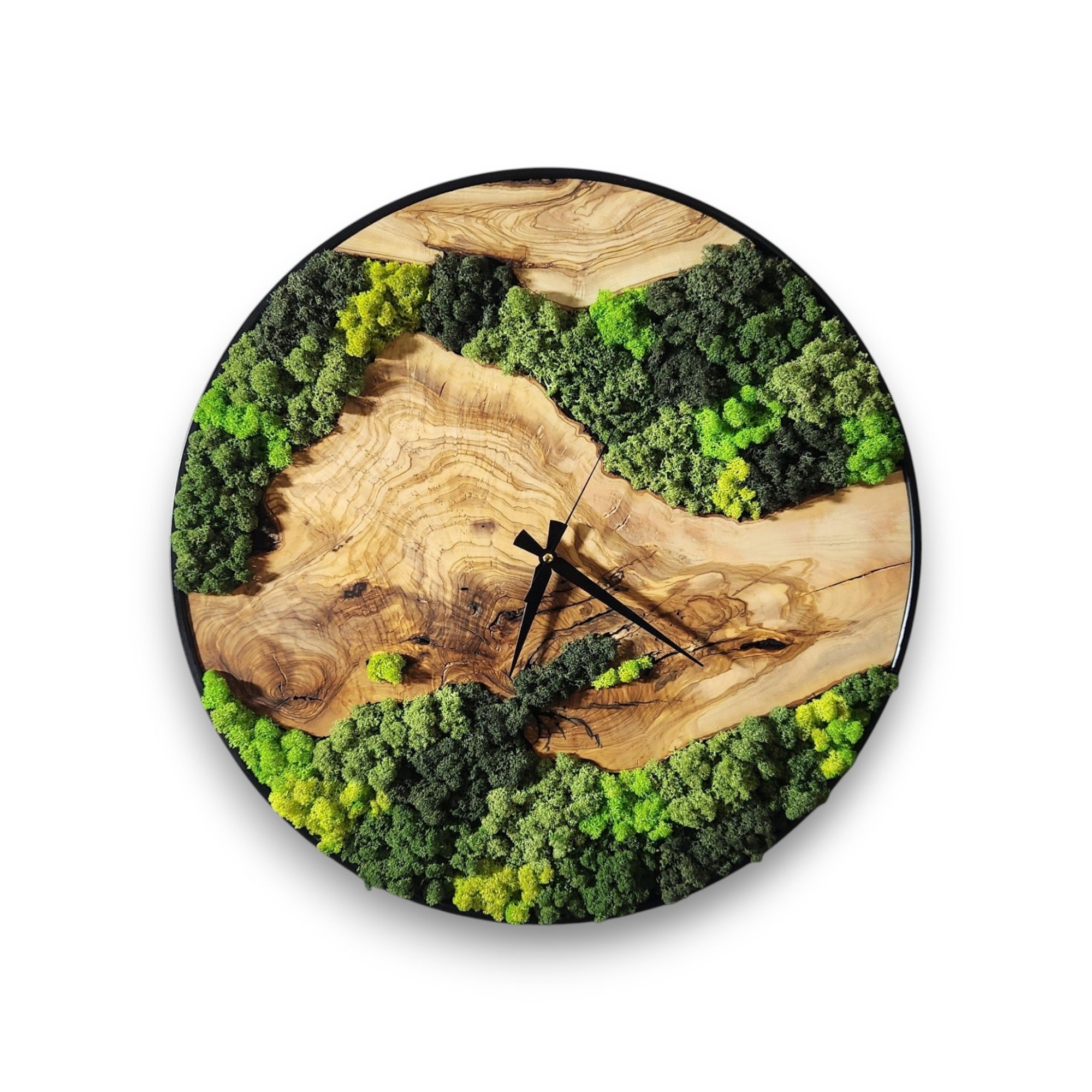 Forest Timekeeper | Olive Wood &  Preserved Moss Wall Clock