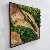 Custom Made Moss and Olive Wood Wall Art, Metal Frame Moss Wall Decor, Olive Wood and Moss Wall Art- Preserved Stabilized Moss Wall Decor BlackSeaResinWorks