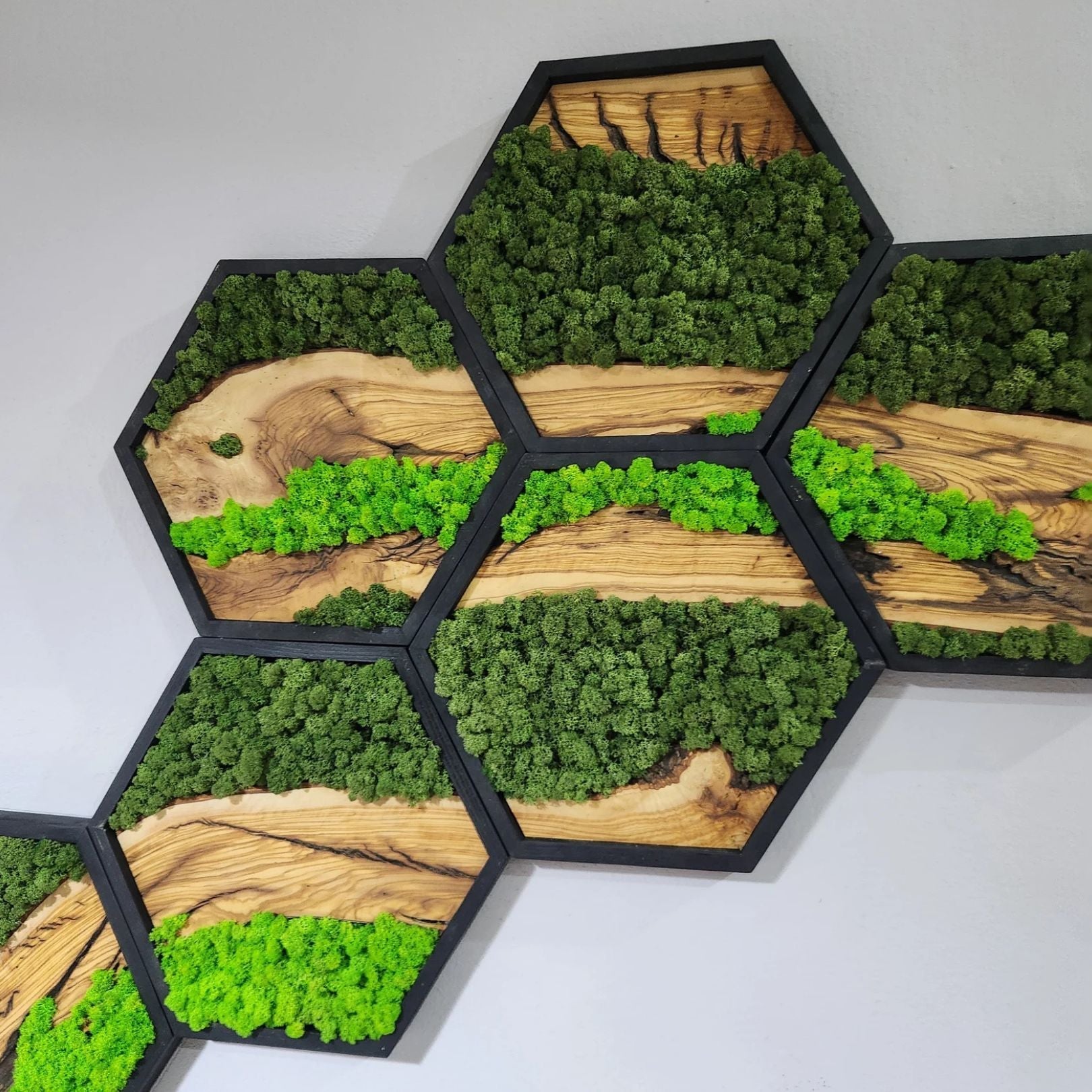 Hexagon Moss Wall Decor, Wooden Black Frame Moss Wall Decor, Olive Wood and Moss Wall Art, Preserved Honeycomb Moss Wall Art BlackSeaResinWorks