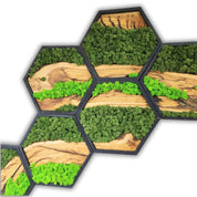 Hexagon Moss Wall Decor, Wooden Black Frame Moss Wall Decor, Olive Wood and Moss Wall Art, Preserved Honeycomb Moss Wall Art BlackSeaResinWorks