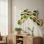 Nature Hive | Olive Wood and Pereserved Moss Wall Decor