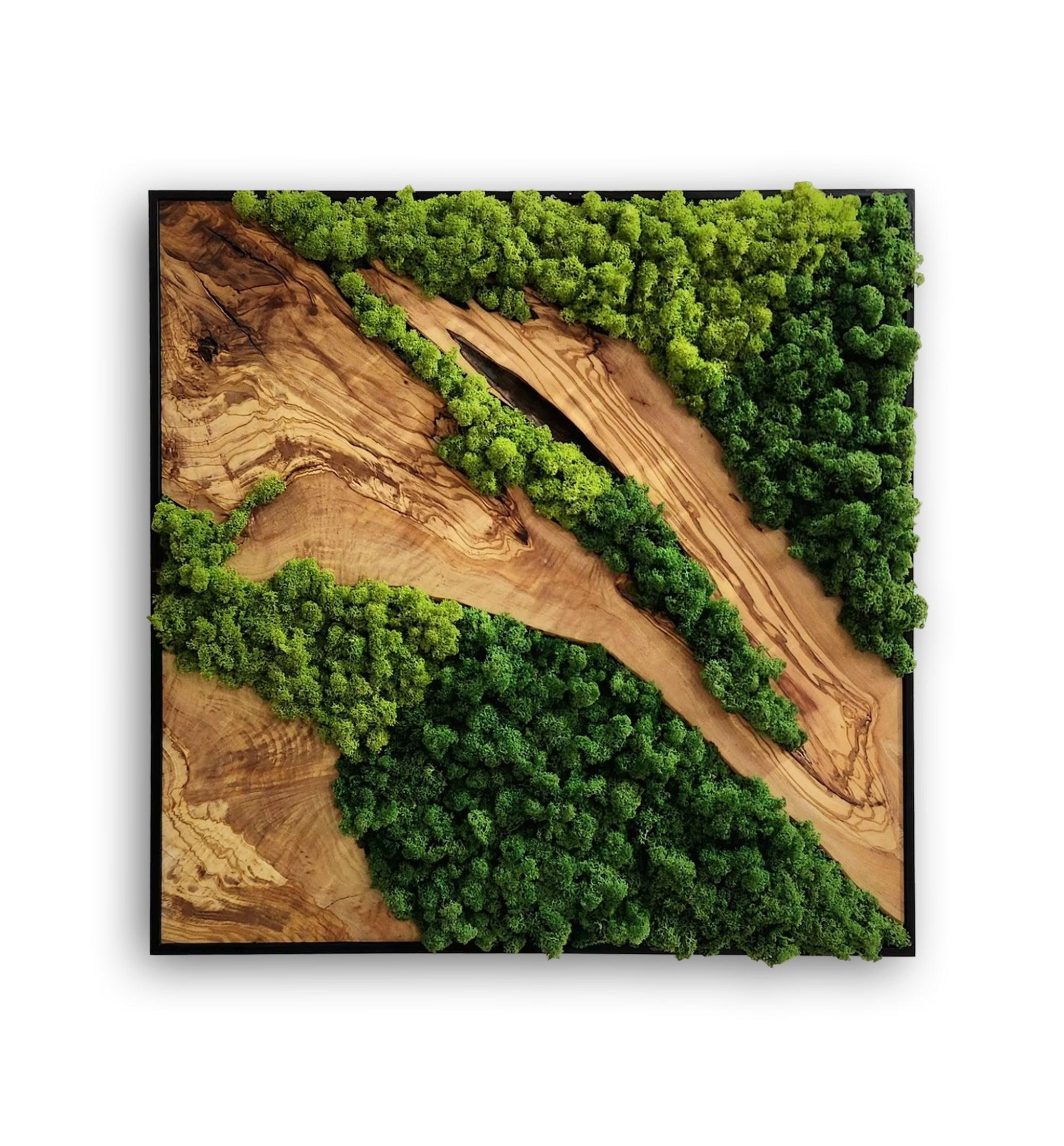 Moss and Olive Wood Wall Art | Metal Frame Moss Wall Decor