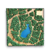 Natural Map | Olive Wood and Pereserved Moss Wall Decor