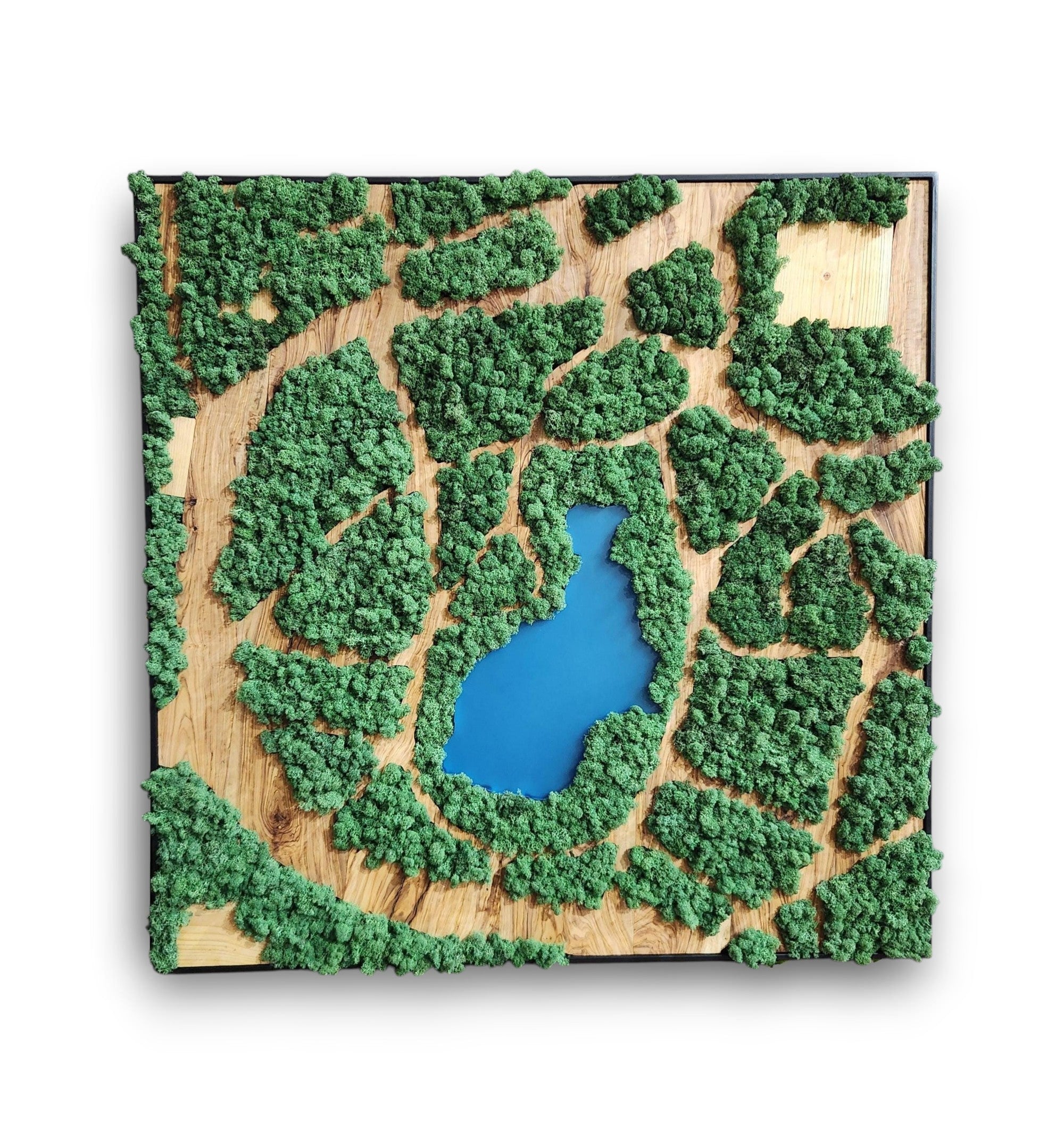Natural Map | Olive Wood and Pereserved Moss Wall Decor