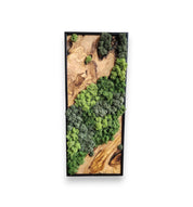 Nature Fusion | Olive Wood and Pereserved Moss Wall Decor