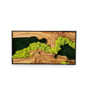 Forest Flow | Olive Wood and Preserved Moss Wall Decoration