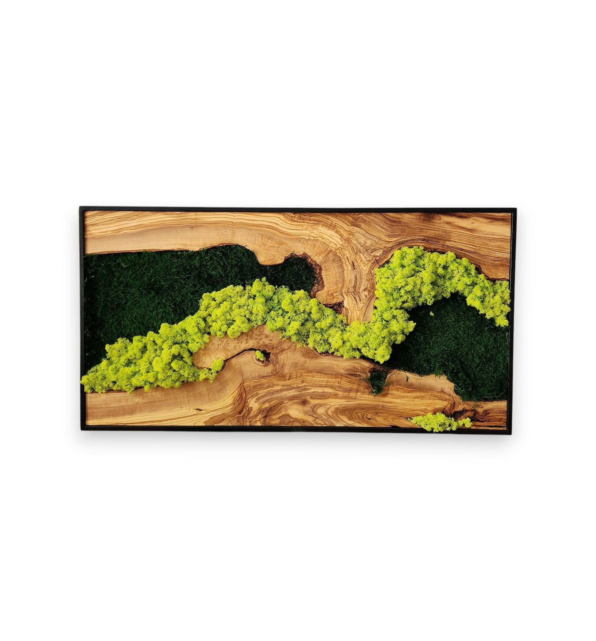 Forest Flow | Olive Wood and Preserved Moss Wall Decoration
