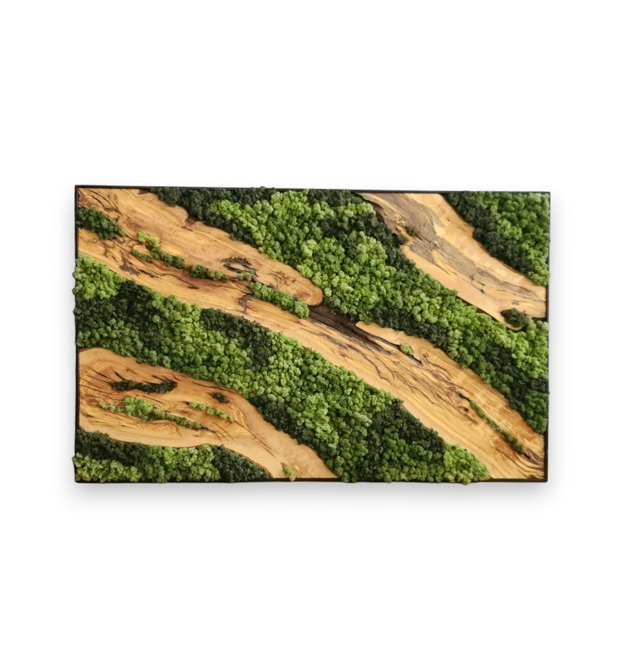 Verdant Waves | Olive Wood and Pereserved Moss Wall Decor