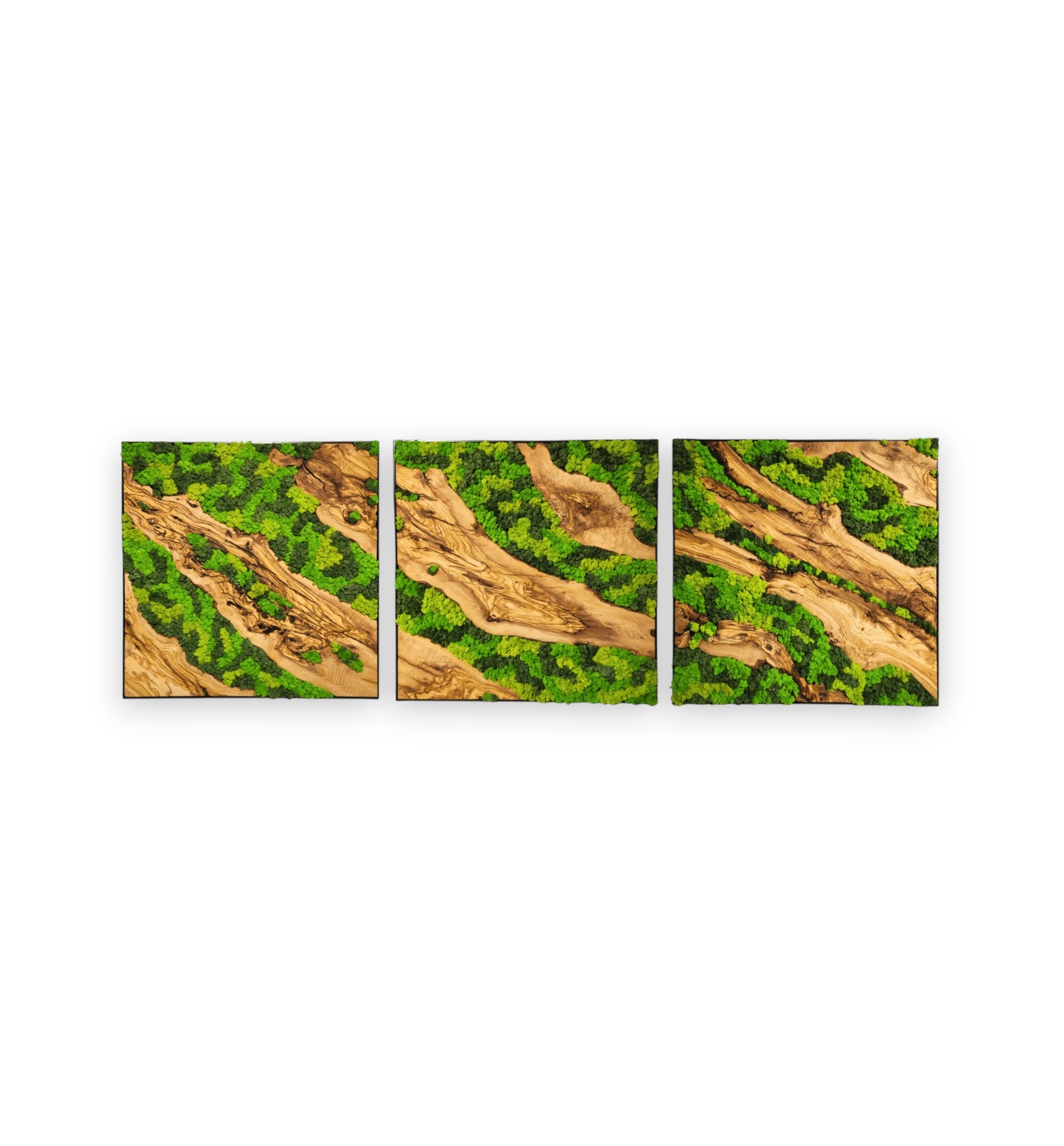Earth’s Mosaic | Set of 3 Preserved  Moss and Olive Wood Wall Decor