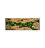 Natural Dominion | Olive Wood and Pereserved Moss Wall Decor