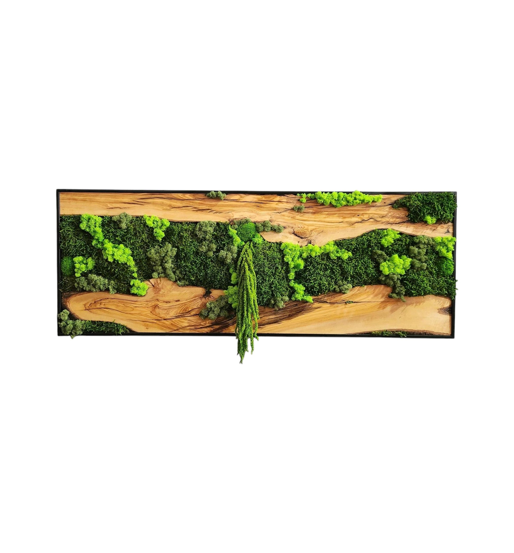Green Canyon | Olive Wood and Pereserved Moss Wall Decor