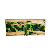 Enchanted Forest | Olive Wood and Pereserved Moss Wall Decor
