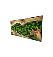 Nature’s River | Luxury Olive Wood & Preserved Moss Wall Art