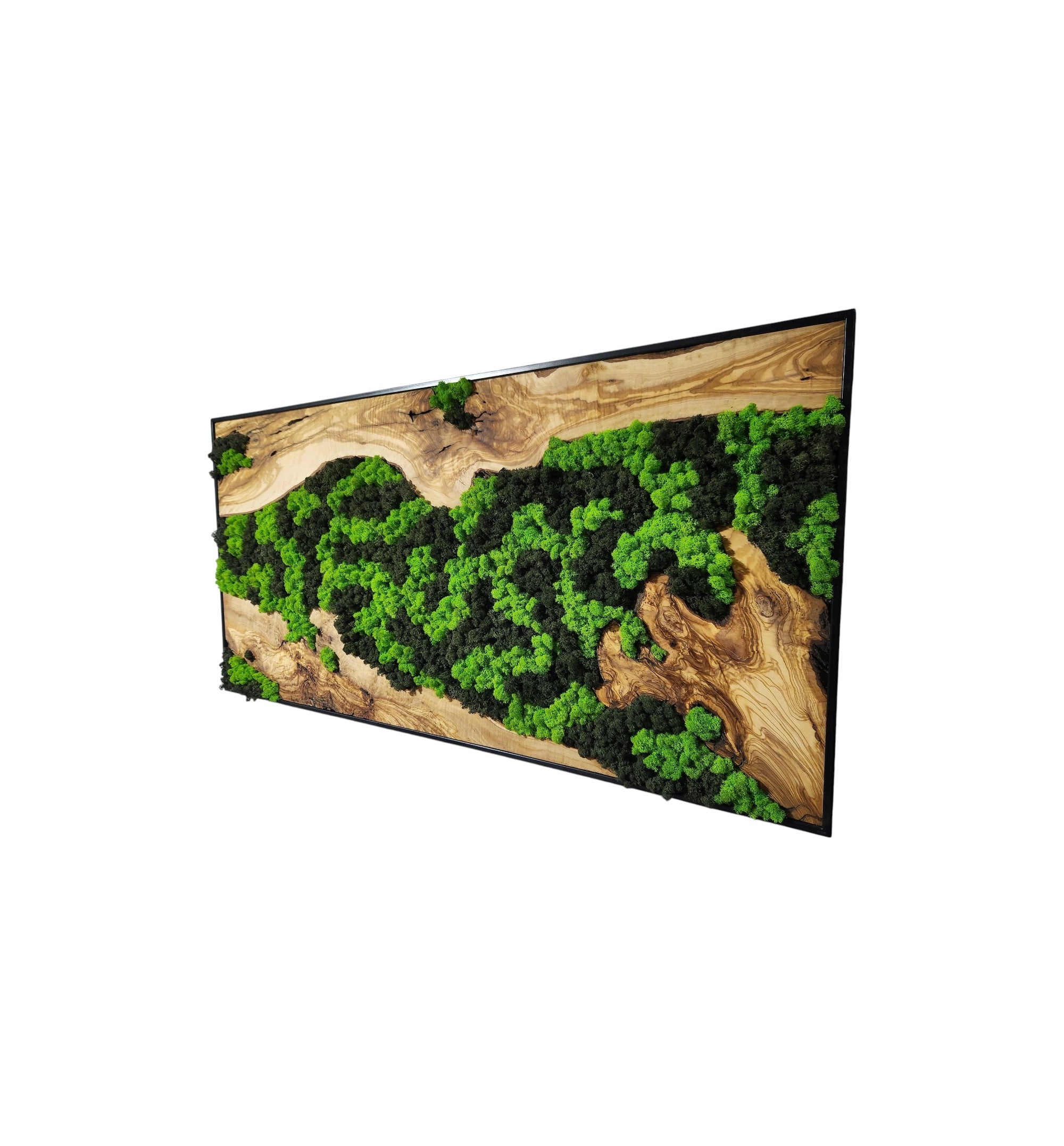 Nature’s River | Luxury Olive Wood & Preserved Moss Wall Art