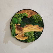 Moss and Olive Wood Wall Art in Metal Frame