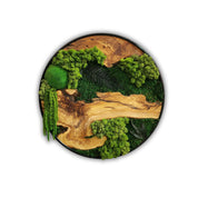 Moss and Olive Wood Wall Art in Metal Frame