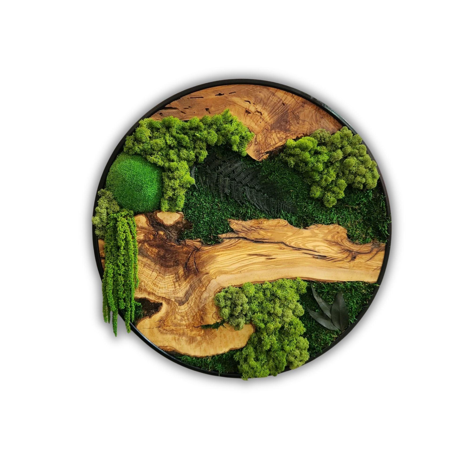 Moss and Olive Wood Wall Art in Metal Frame