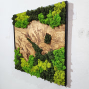 Forest Rise | Olive Wood and Pereserved Moss Wall Decor