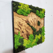Forest Rise | Olive Wood and Pereserved Moss Wall Decor