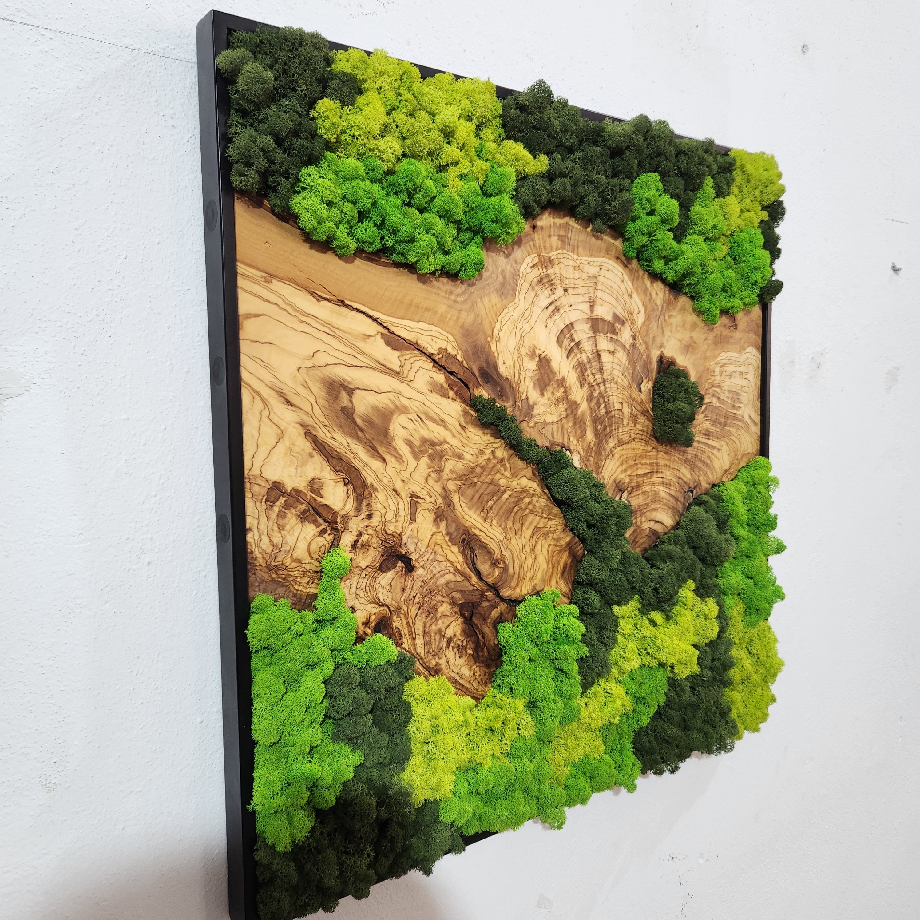 Forest Rise | Olive Wood and Pereserved Moss Wall Decor