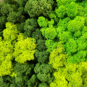 Forest Rise | Olive Wood and Pereserved Moss Wall Decor