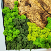 Forest Rise | Olive Wood and Pereserved Moss Wall Decor