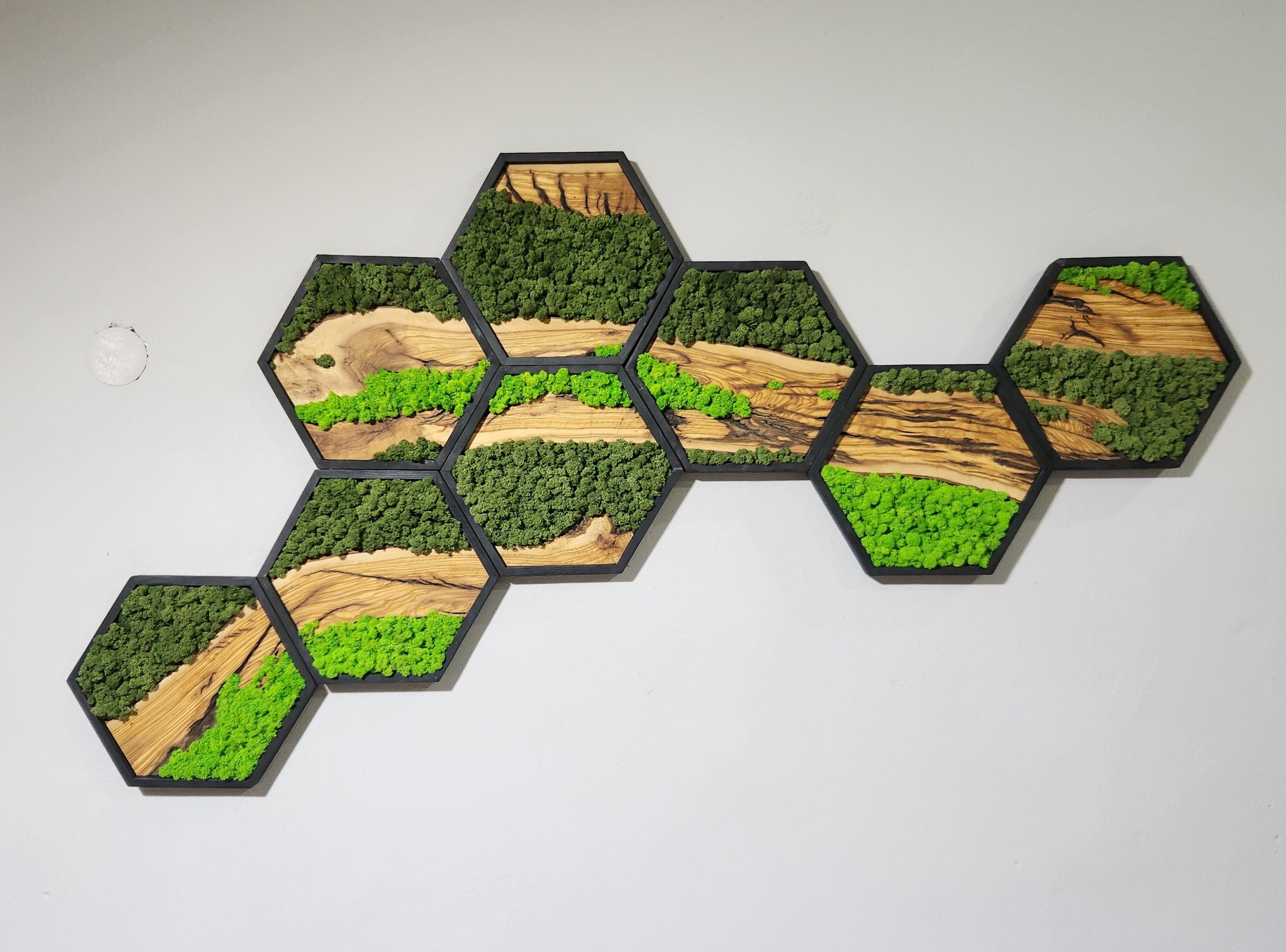 Hexagon Moss Wall Art | Olive Wood & Preserved Moss Design