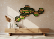 Hexagon Moss Wall Art | Olive Wood & Preserved Moss Design