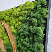 Custom Made Moss and Olive Wood Wall Art, Metal Frame Moss Wall Decor, Olive Wood and Moss Wall Art- Preserved Stabilized Moss Wall Decor BlackSeaResinWorks