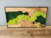 Moss Wall Decor, Custom Made Moss and Olive Wood Wall Art, Metal Frame, Olive Wood and Moss Wall Art- Preserved Stabilized Moss Wall Decor BlackSeaResinWorks