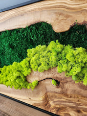 Moss Wall Decor, Custom Made Moss and Olive Wood Wall Art, Metal Frame, Olive Wood and Moss Wall Art- Preserved Stabilized Moss Wall Decor BlackSeaResinWorks
