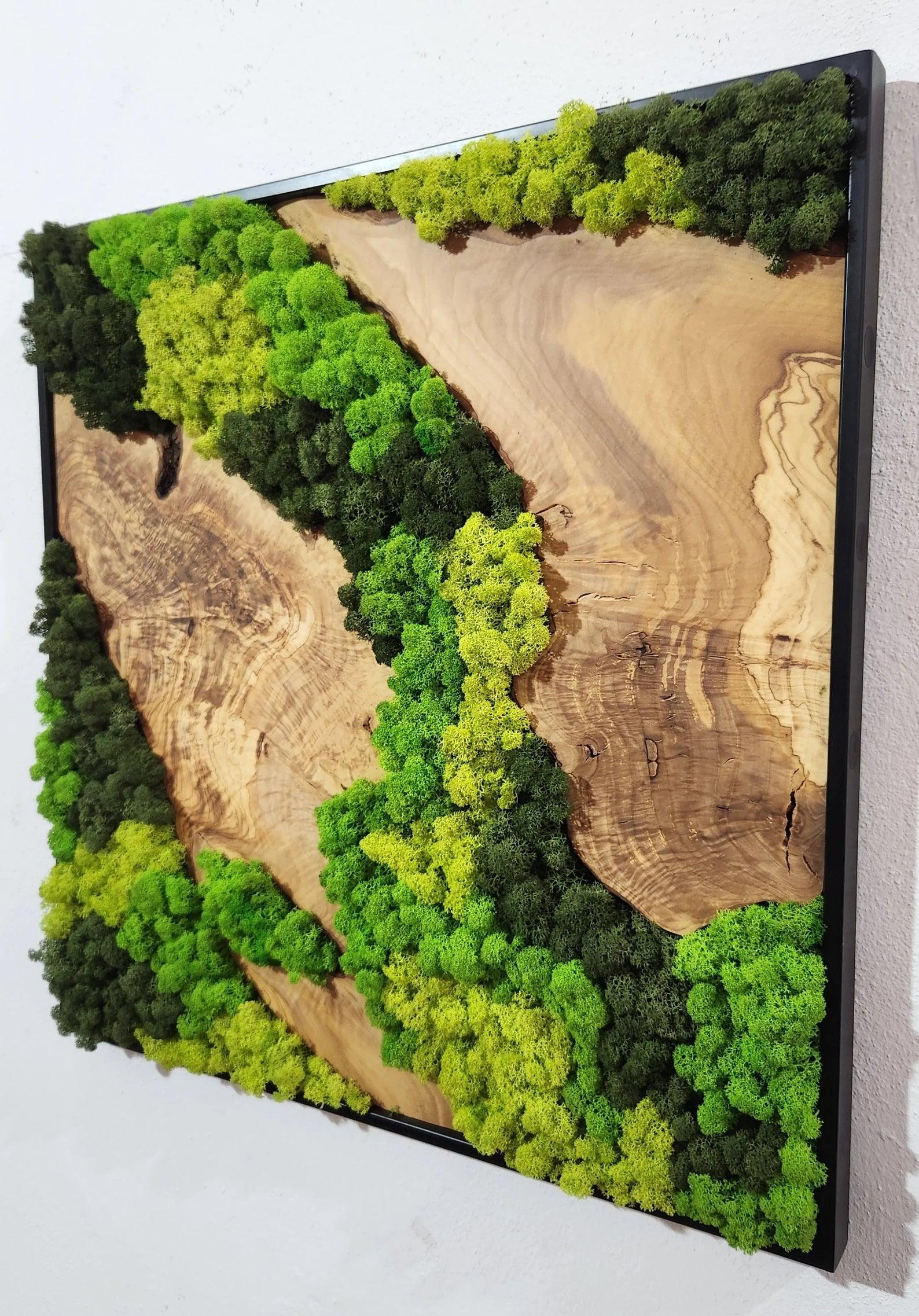 Moss and Olive Wood Wall Art, Metal Frame Moss Wall Decor, Olive Wood and Moss Wall Art- Preserved Stabilized Moss Wall Decor BlackSeaResinWorks