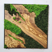 Moss and Olive Wood Wall Art, Metal Frame Moss Wall Decor, Olive Wood and Moss Wall Art- Preserved Stabilized Moss Wall Decor BlackSeaResinWorks