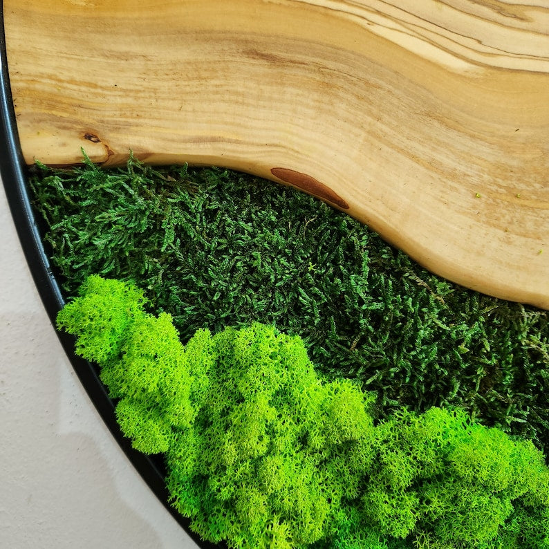 Olive Wood Wall Clock With Metal Frame And Preserved Moss BlackSeaResinWorks