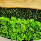 Olive Wood Wall Clock With Metal Frame And Preserved Moss BlackSeaResinWorks