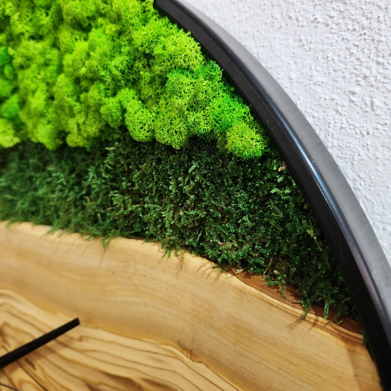 Olive Wood Wall Clock With Metal Frame And Preserved Moss BlackSeaResinWorks
