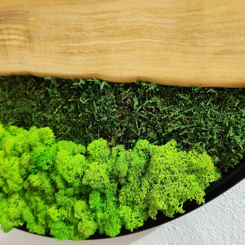 Olive Wood Wall Clock With Metal Frame And Preserved Moss BlackSeaResinWorks