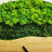 Olive Wood Wall Clock With Metal Frame And Preserved Moss BlackSeaResinWorks