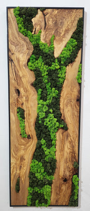 Forest Arc | Olive Wood and Pereserved Moss Wall Decor